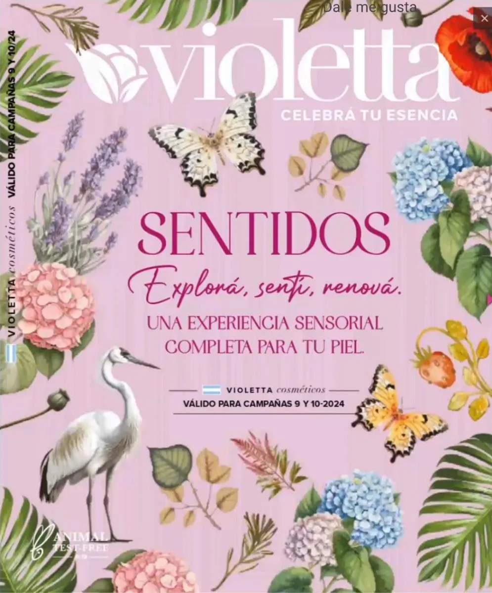 Catálogo Avon Campaña 10 2024 Argentina